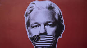 UN voices concern over Assange extradition case