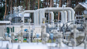 Russia halts gas deliveries via Nord Stream