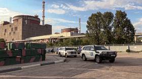 Ukrainian nuclear plant targeted again – official