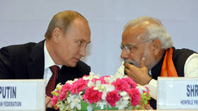 Western sanctions bring Russia and India closer – analyst