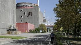 Water supply to Zaporozhye nuclear site contaminated – authorities