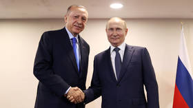 Erdogan sides with Putin on Ukrainian grain exports