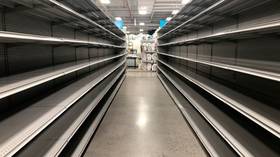 Ukraine faces winter food shortages – economist