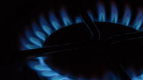 EU unlikely to cap Russian gas price – Guardian
