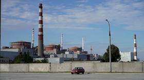 Ukraine once again endangering nuclear plant – Moscow