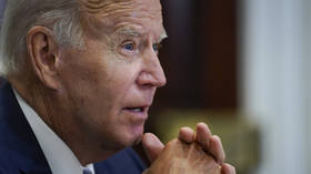 Biden hints at plans for reelection bid