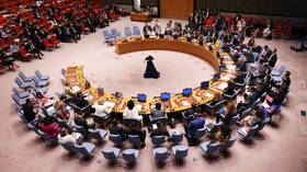 Germany outlines UN Security Council ambition