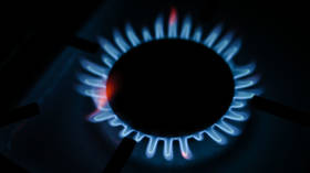 German gas consumption too high – energy regulator