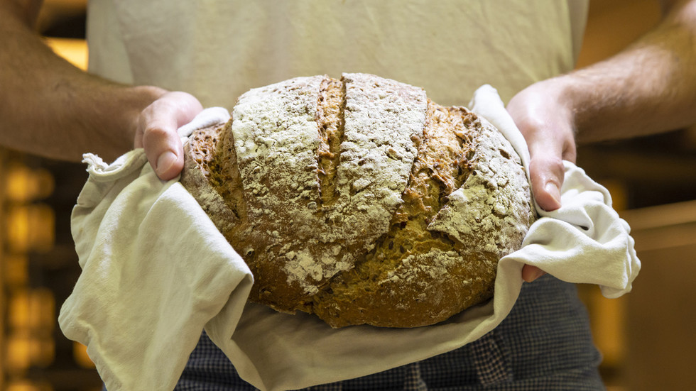 Putin Bread Russia ready to help poor nations battle hunger – Putin — RT Business News