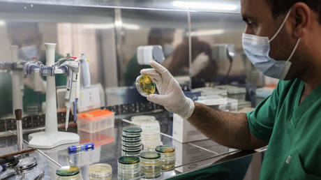 A lab technician works on samples of suspected Cholera in a medical laboratory of the Early Warning, Alert and Response Network (EWARN)network in Idlib.