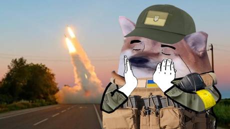 A 'NAFO' meme, posted to Twitter by the Ukrainian Defense Ministry, August 28, 2022