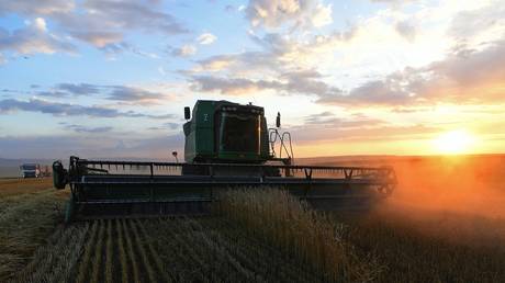 Record grain harvest predicted for Russia