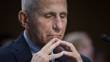 FILE PHOTO: Chief White House medical advisor Anthony Fauci testifies during a Senate hearing in Washington, DC, September 14, 2022.