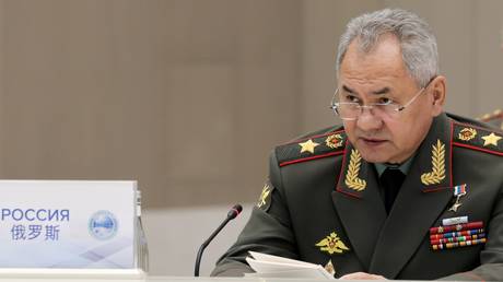 Russian Defense Minister Sergei Shoigu.