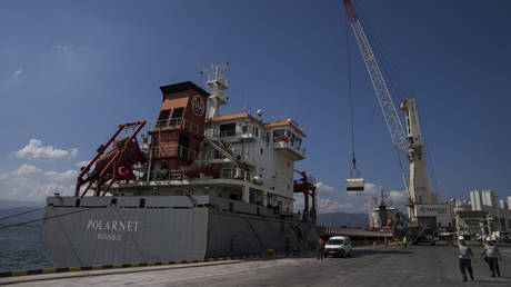 The cargo ship Polarnet arrives to Derince port in the Gulf of Izmit, Turkey, on August 8, 2022.