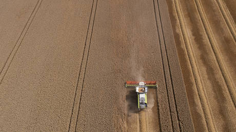 Wheat prices surge on Black Sea grain deal collapse