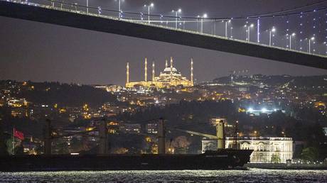 FILE PHOTO. A cargo ship carrying wheat, in Istanbul, Türkiye.