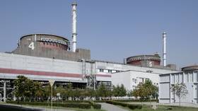 Ukraine halts electricity supply to nuclear power plant