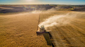 Russia’s grain harvest hits all-time high
