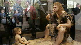 Neanderthals found in Russia were family – study