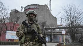 Demilitarized zone around Zaporozhye NPP impossible – senior diplomat