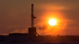Russia invites ‘friends’ to join massive Arctic oil project