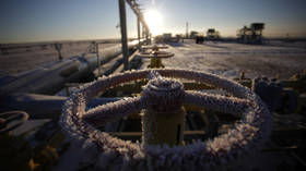 Russian energy ‘will never return’ – IEA