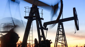 US delays decision on Russian oil price cap – WSJ