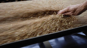 Russia suspends its participation in grain deal