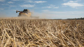 Russia offers alternative to Ukraine ‘grain deal’