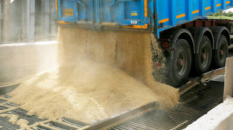 Wheat prices drop as Russia returns to Ukraine grain deal