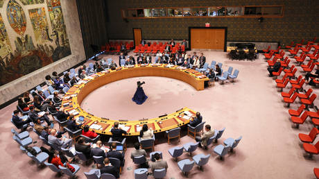 FILE PHOTO: UN Security Council meeting in New York City, October 27, 2022. © Michael M. Santiago / Getty Images North America / AFP