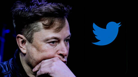 ‘Activist groups’ tanking Twitter profits – Musk