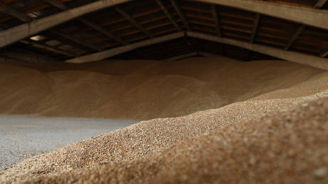 FILE PHOTO. Wheat in a grain storage facility in Ukraine.