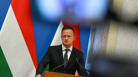 Hungarian Foreign Minister Peter Szijjarto © AFP / Attila Kisbenedek