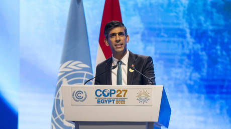 British Prime Minister Rishi Sunak speaks during the COP27 Climate Summit, in Sharm el-Sheikh, Egypt, November 7, 2022.