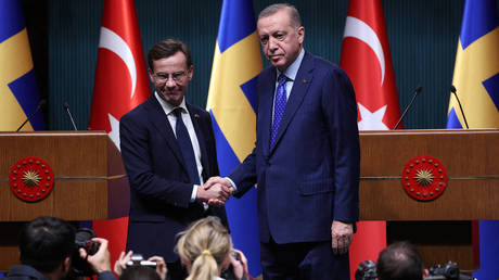 Turkish President Recep Tayyip Erdogan shakes hand with Swedish Prime Minister Ulf Kristersson during their meeting in Ankara. 
Adem ALTAN