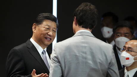 Chinese President Xi Jinping (left) speaks with Canadian PM Justin Trudeau during the G20 Leaders Summit in Bali, Indonesia, November 16, 2022.