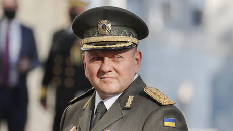 Ukraine’s top general asked to reduce public profile – FT