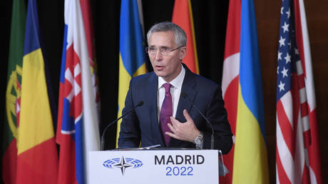 NATO Secretary General Jens Stoltenberg speaks during NATO Parliamentary Assembly annual session held in Madrid on November 21, 2022.
OSCAR DEL POZO / AFP