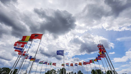 FILE PHOTO: Flags of NATO member countries are seen outside NATO's headquarters in Brussels, Belgium, May 27, 2022.