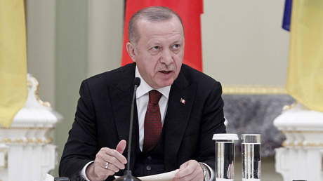 President of the Republic of Turkiye Recep Tayyip Erdogan