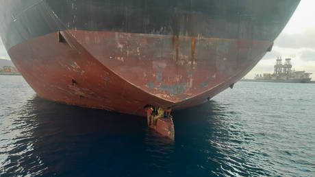 Stowaways spent 11 days trapped on ship rudder