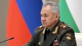 Moscow issues update on frontline reinforcements 