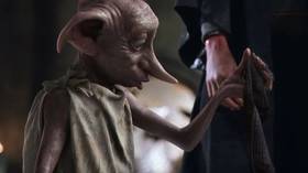 Harry Potter fans asked to stop leaving tributes for house elf Dobby