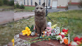 Memorial to tortured cat unveiled in St Petersburg