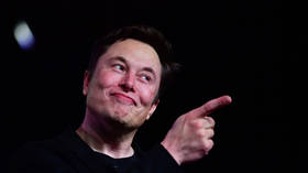 Elon Musk makes endorsement for US midterms