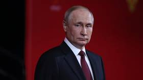 Putin won’t address G20 summit – Kremlin