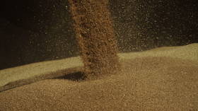 Russia reveals grain volumes to Asia and Africa