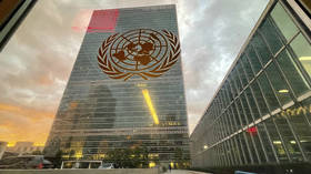UN reparations decision is ‘plunder’ – Kremlin
